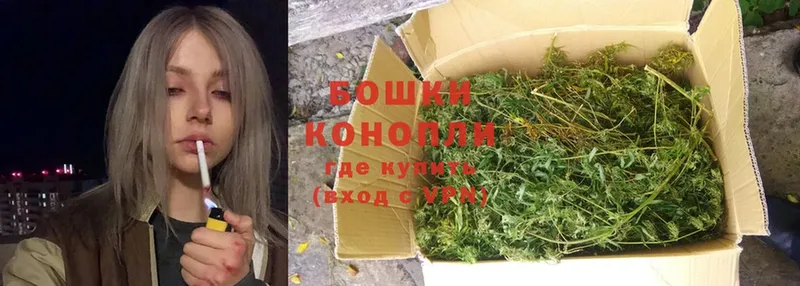 Конопля OG Kush  хочу наркоту  Красный Сулин 